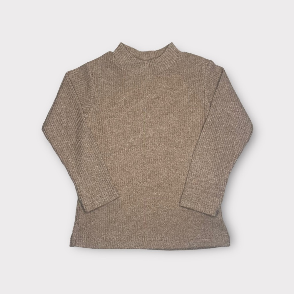 Zara Ribbed Mock Neck Brown Top